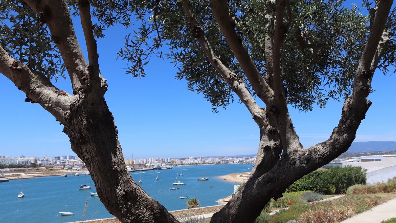 Photo of Others in Ferragudo