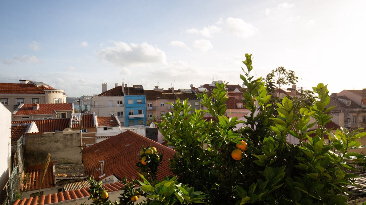 Photo of Others in Linda-a-Velha
