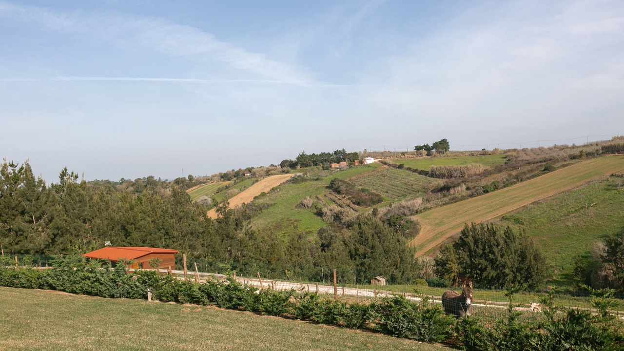 Photo of Outdoor in Bombarral
