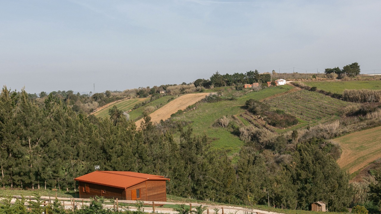 Photo of Outdoor in Bombarral