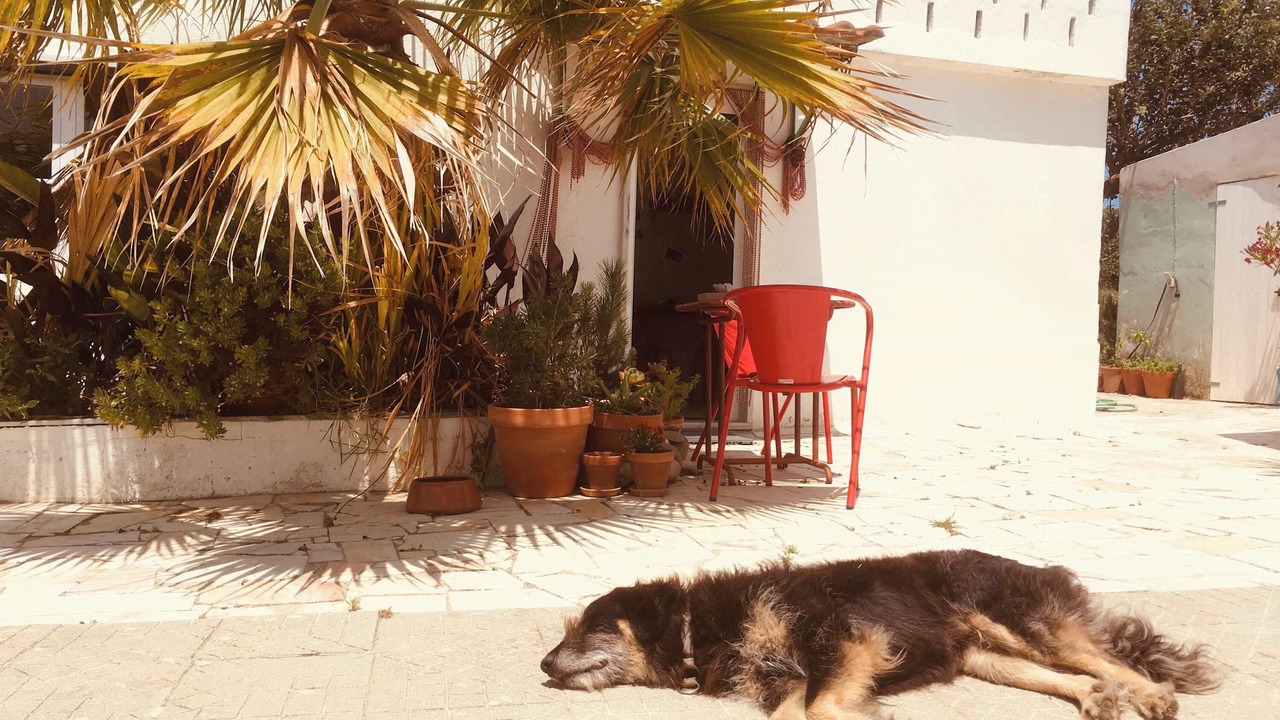 Photo of Patio Balcony in Lourinha