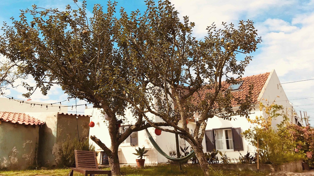 Photo of Outdoor in Lourinha