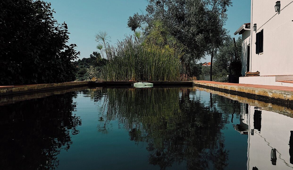 Photo of Outdoor in Tomar