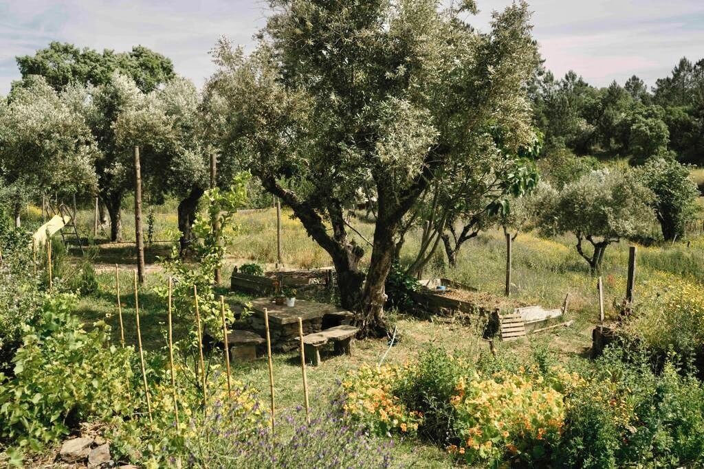 Photo of Outdoor in Tomar