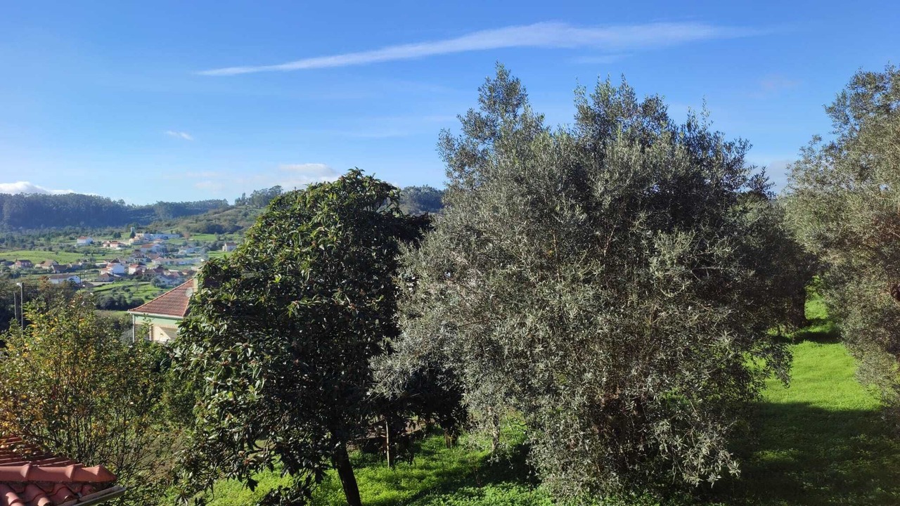 Photo of Outdoor in Ourem