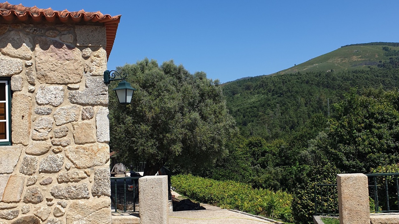 Photo of Outdoor in Bico