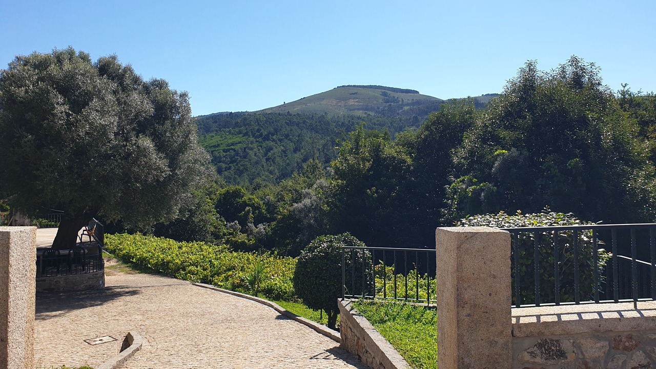 Photo of Outdoor in Bico