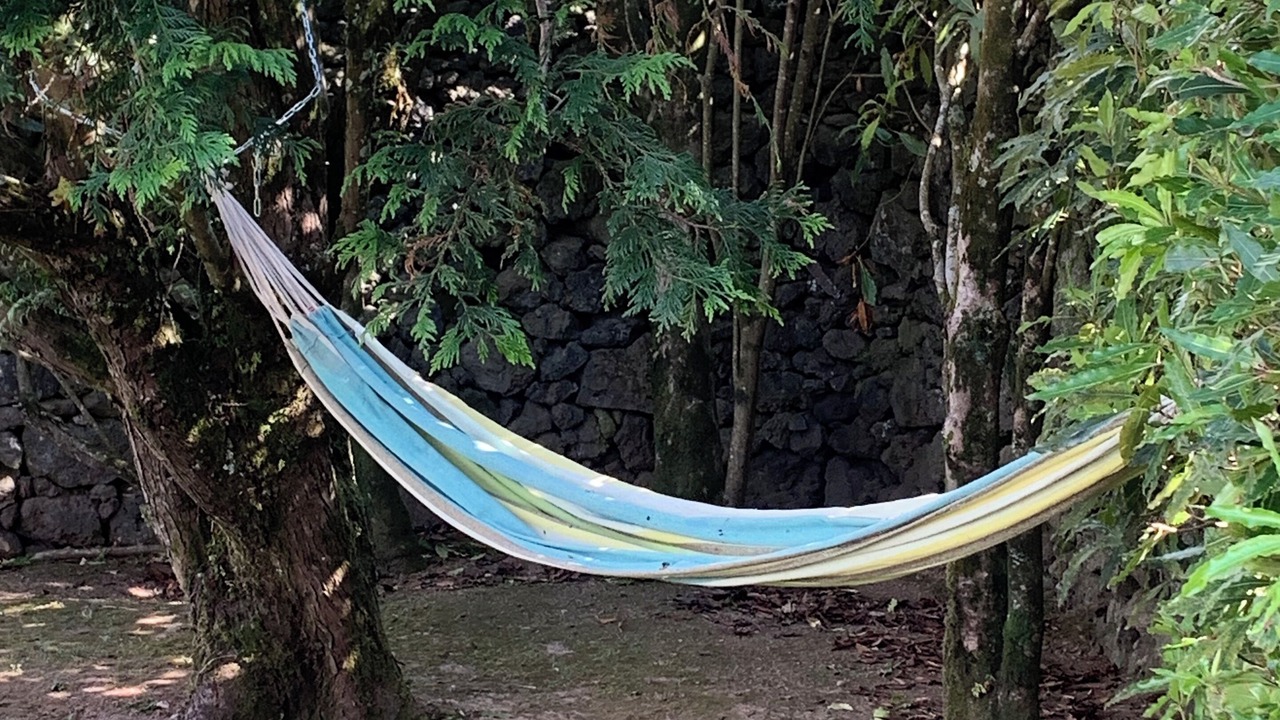 Photo of Outdoor in Ribeira Grande
