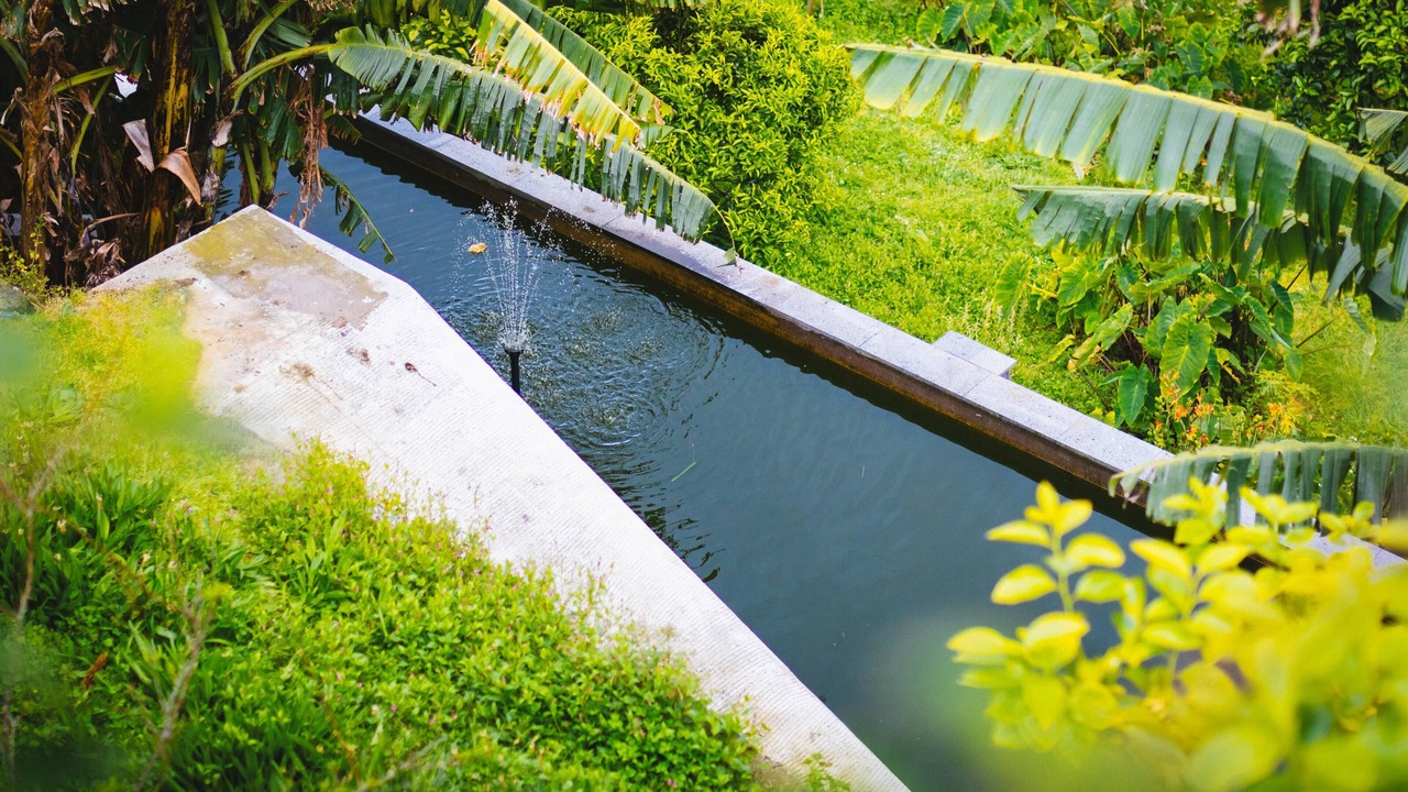 Photo of Outdoor in Ponta Delgada