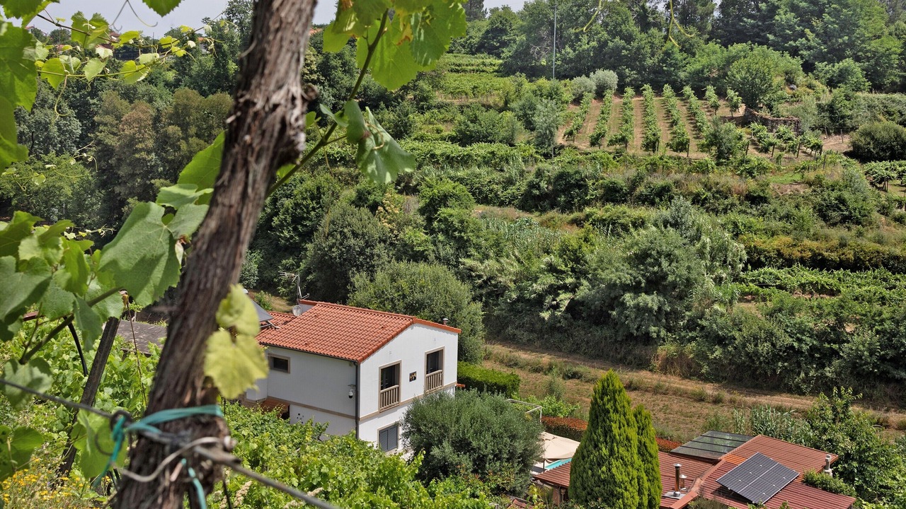 Photo of Outdoor in Melgaco
