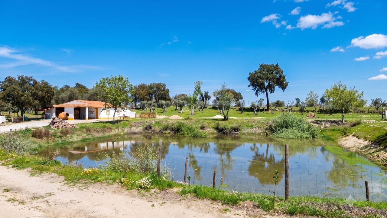 Photo of Outdoor in Gafete