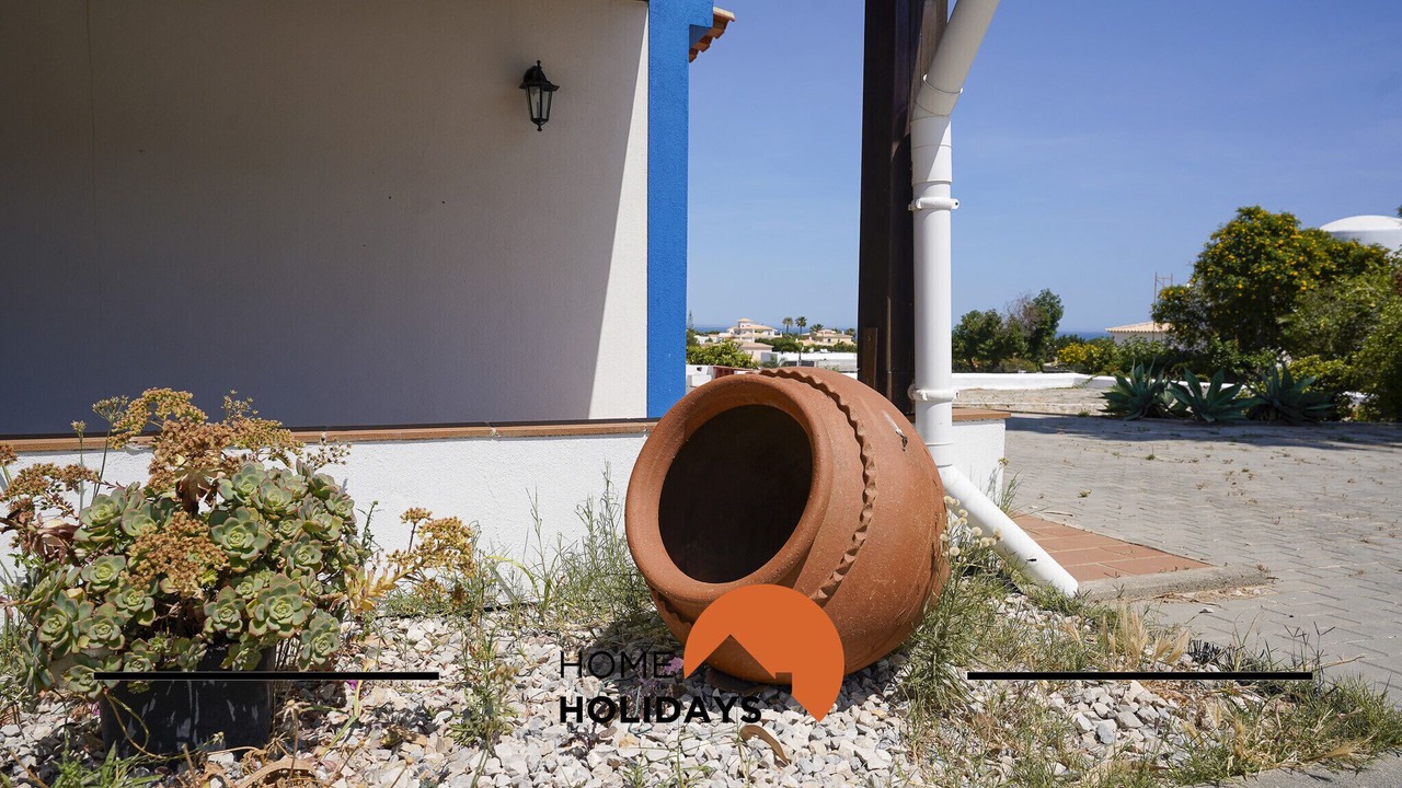 Photo of Outdoor in Sesmarias