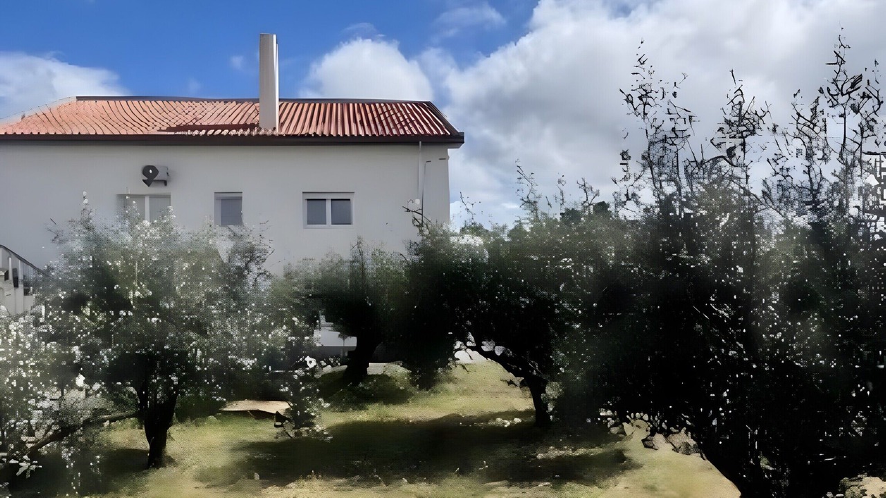 Photo of Outdoor in Fatima