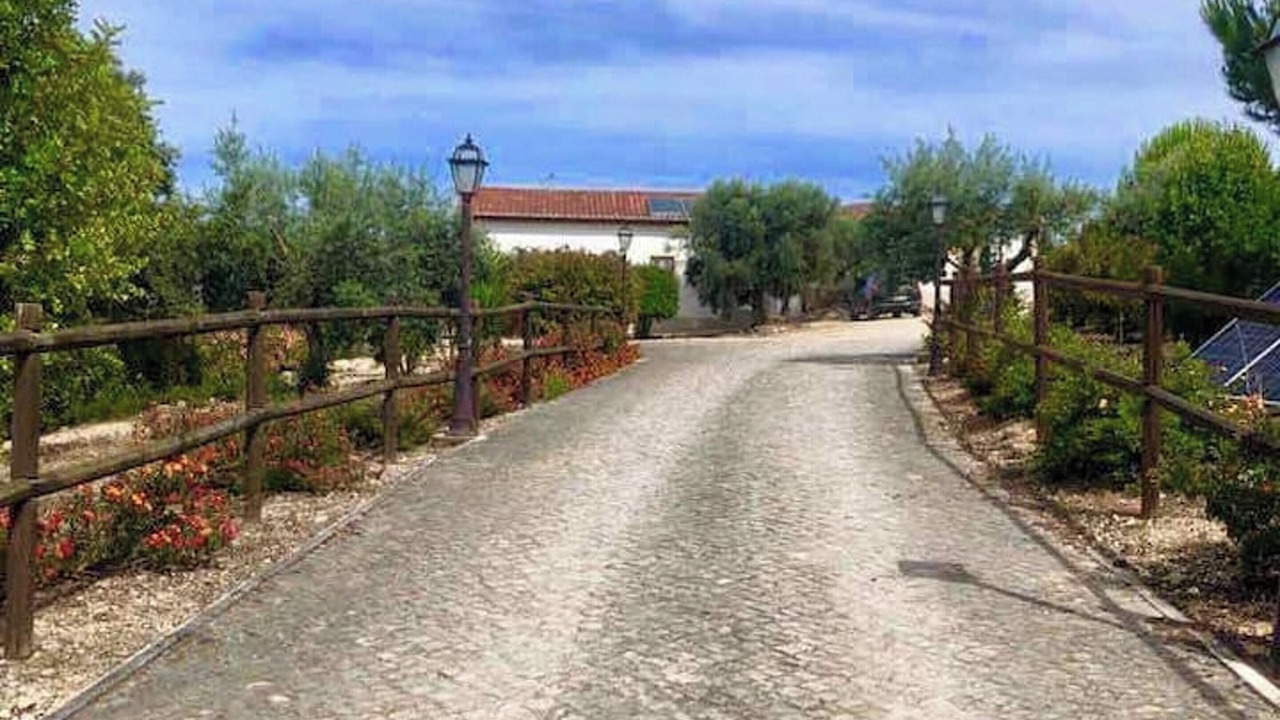 Photo of Others in Pedrogao
