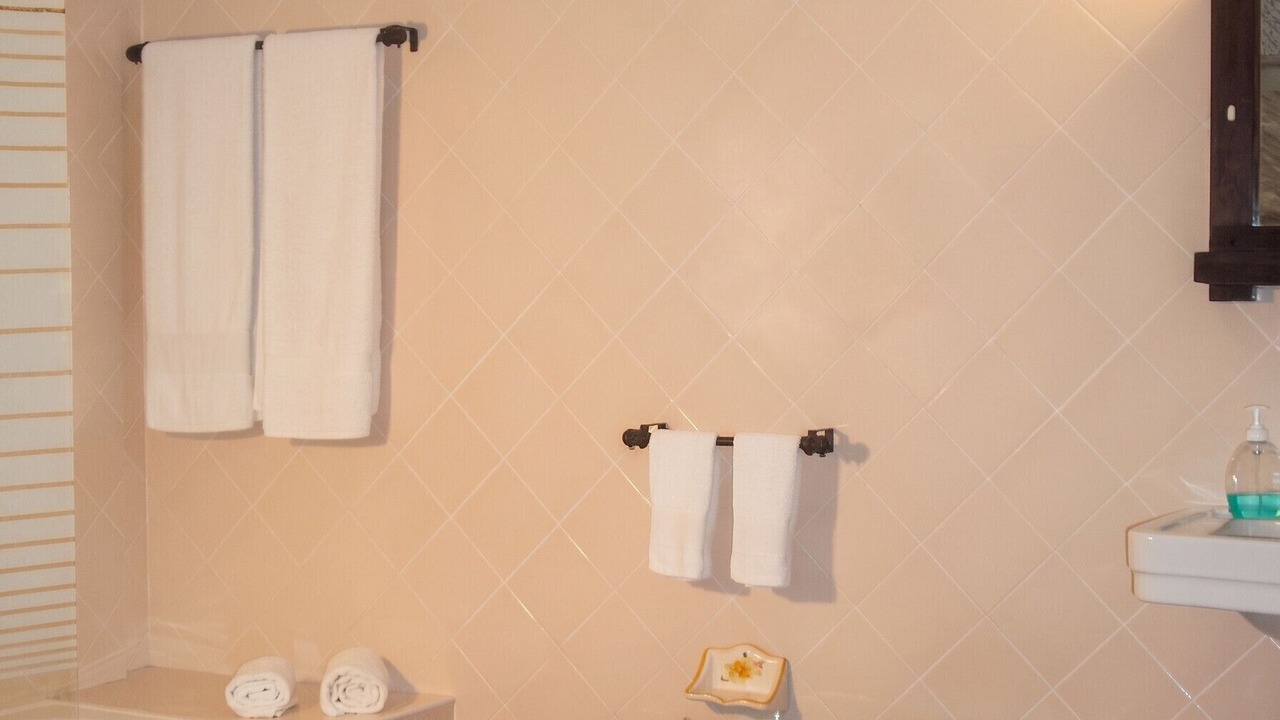 Photo of Bathroom in Lindoso