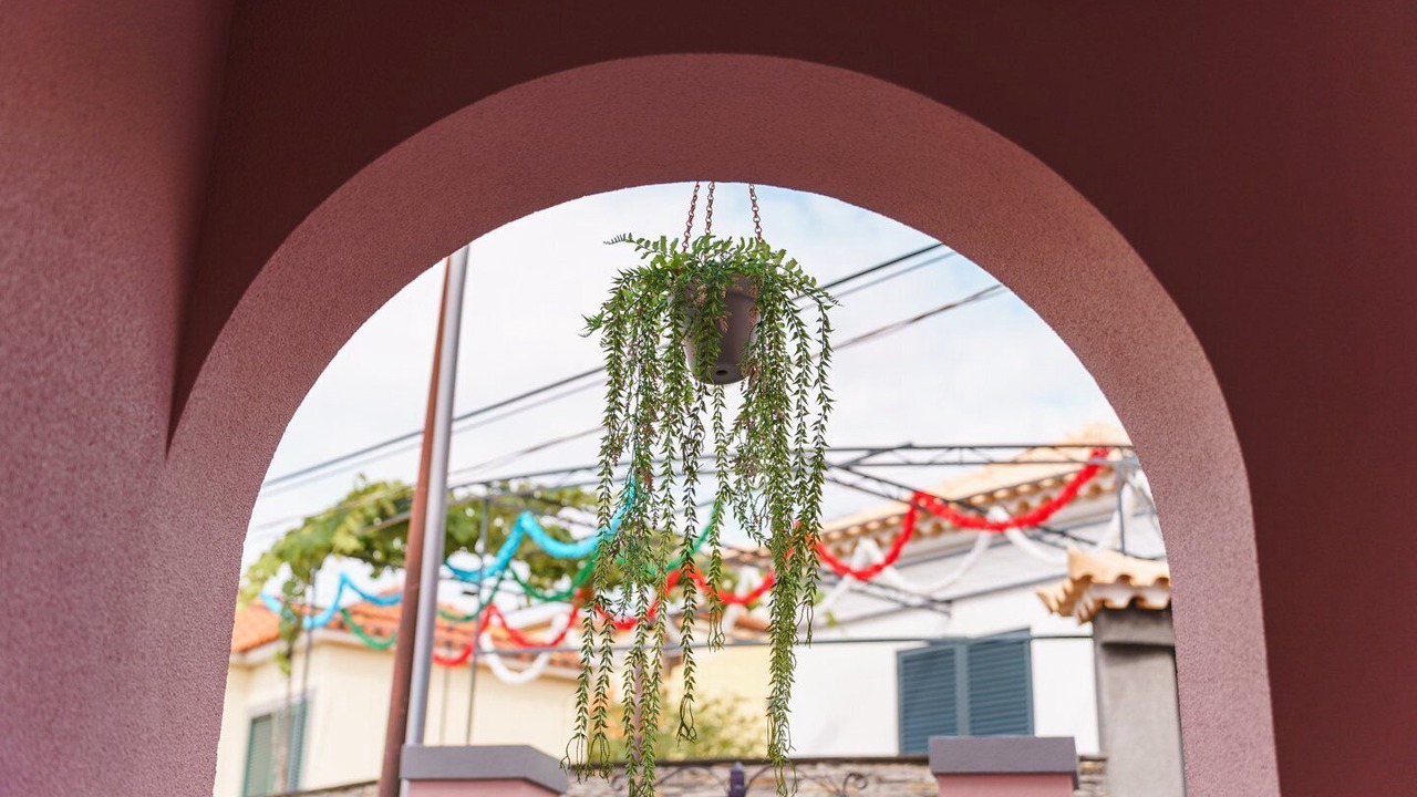 Photo of Outdoor in Sao Pedro