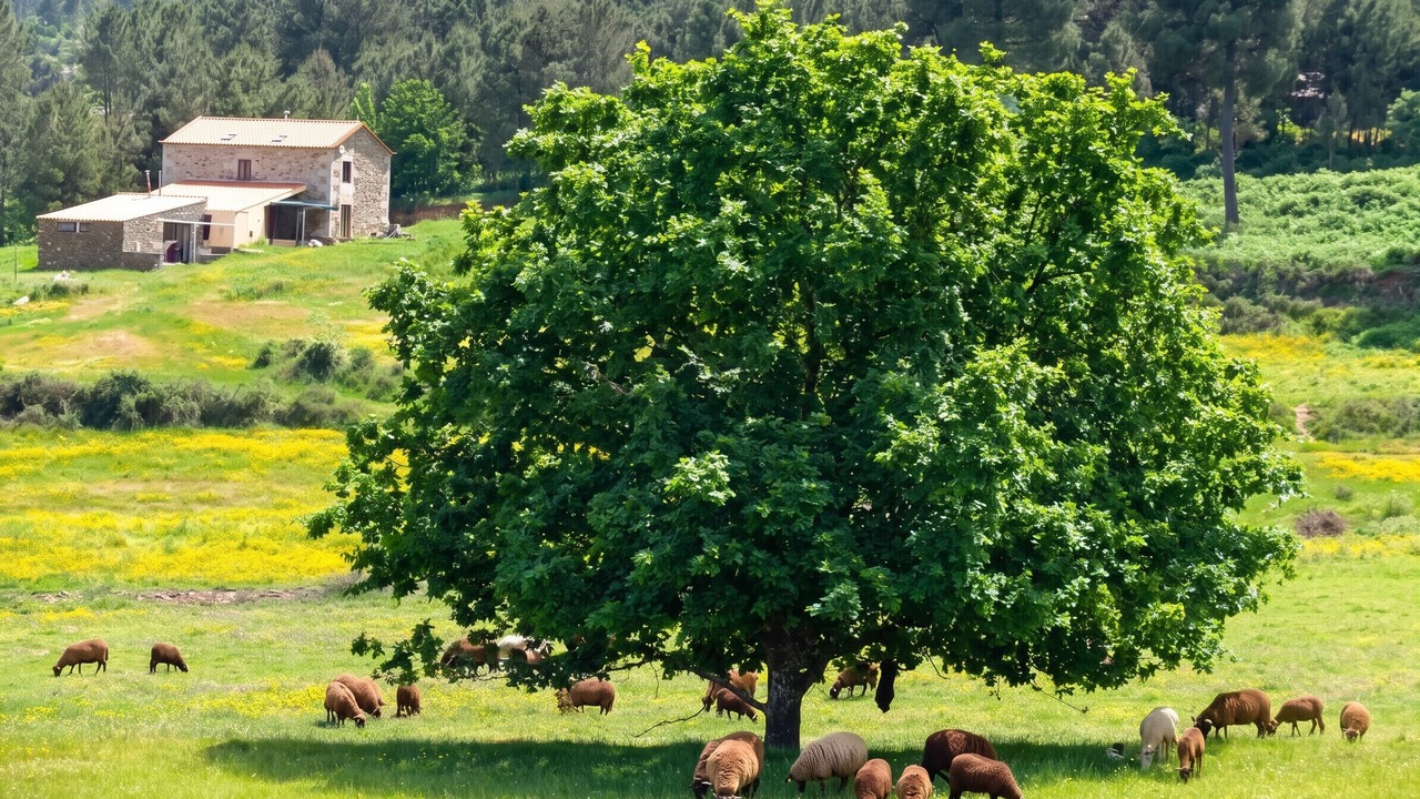 Photo of Outdoor in Maceira