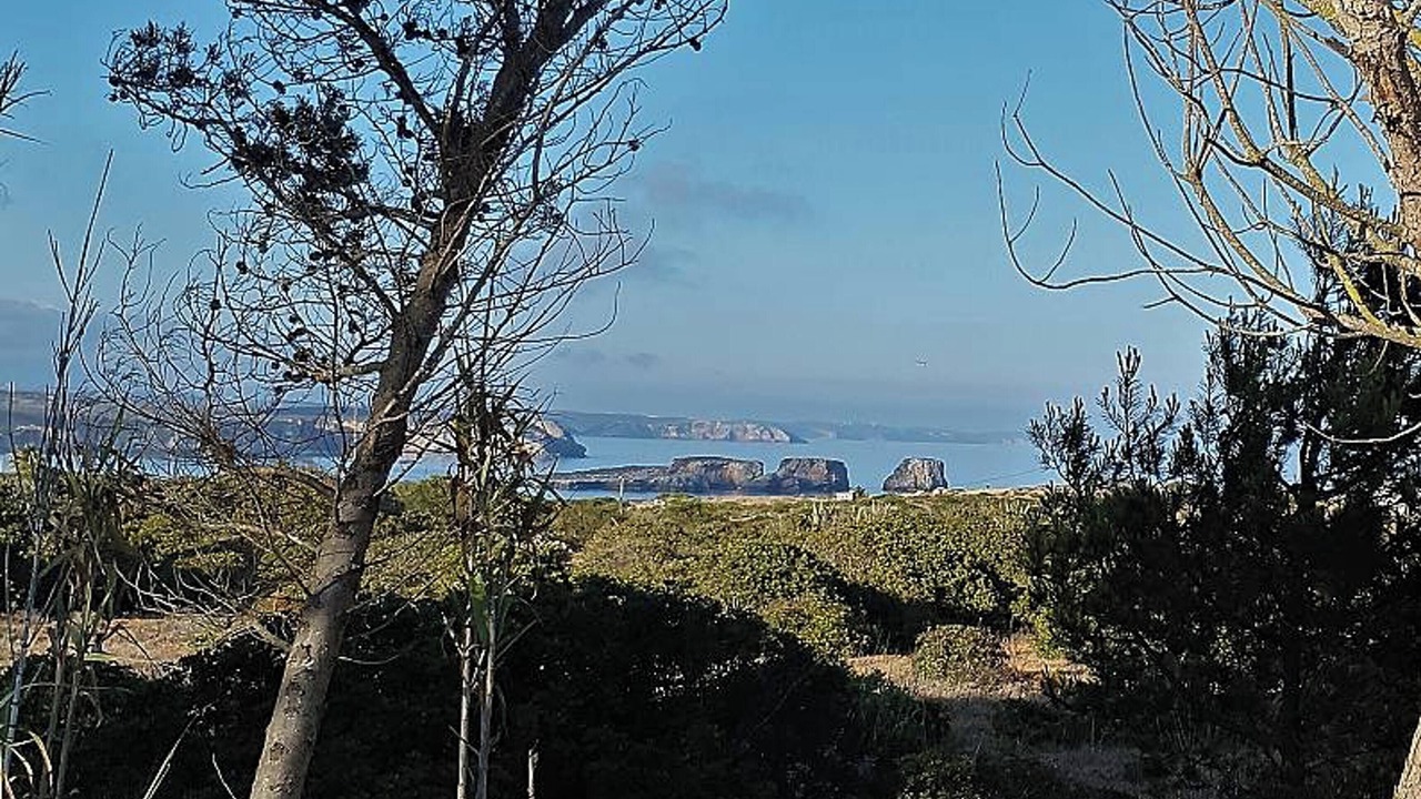 Photo of Others in Sagres