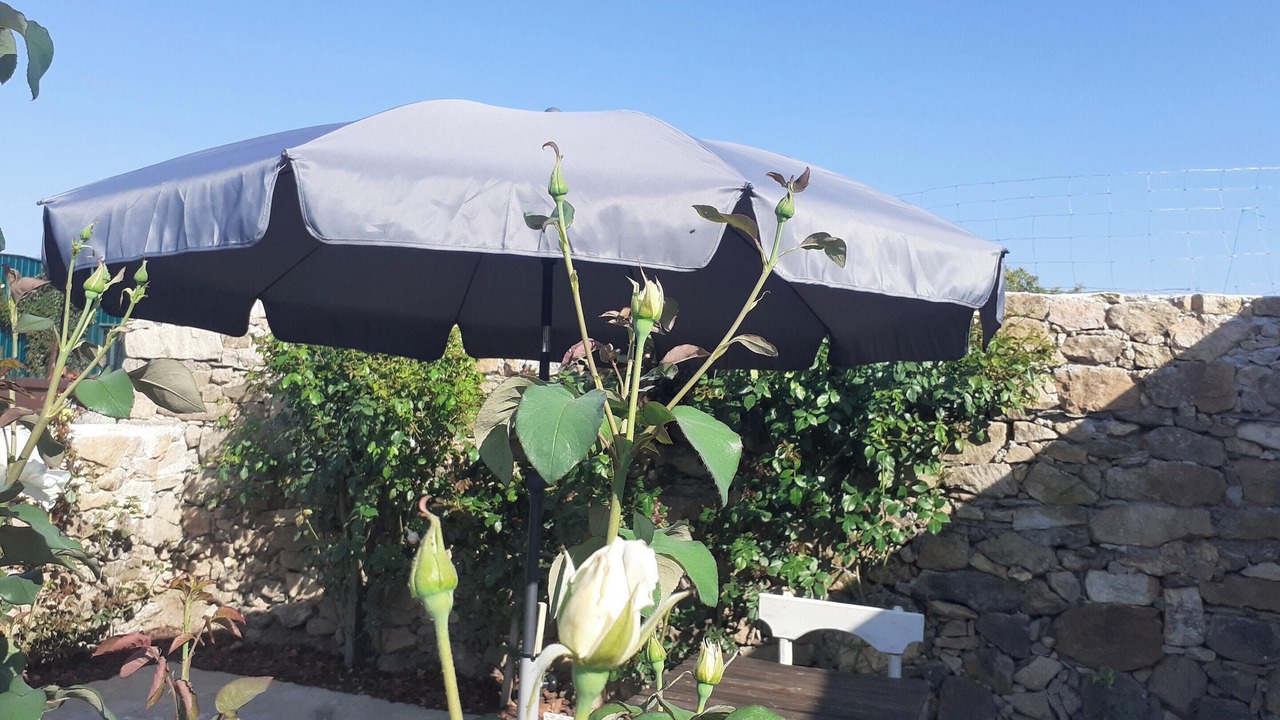 Photo of Outdoor in Salsas
