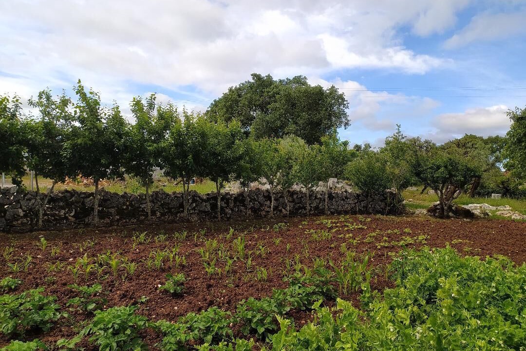 Photo of Outdoor in Porto de Mos