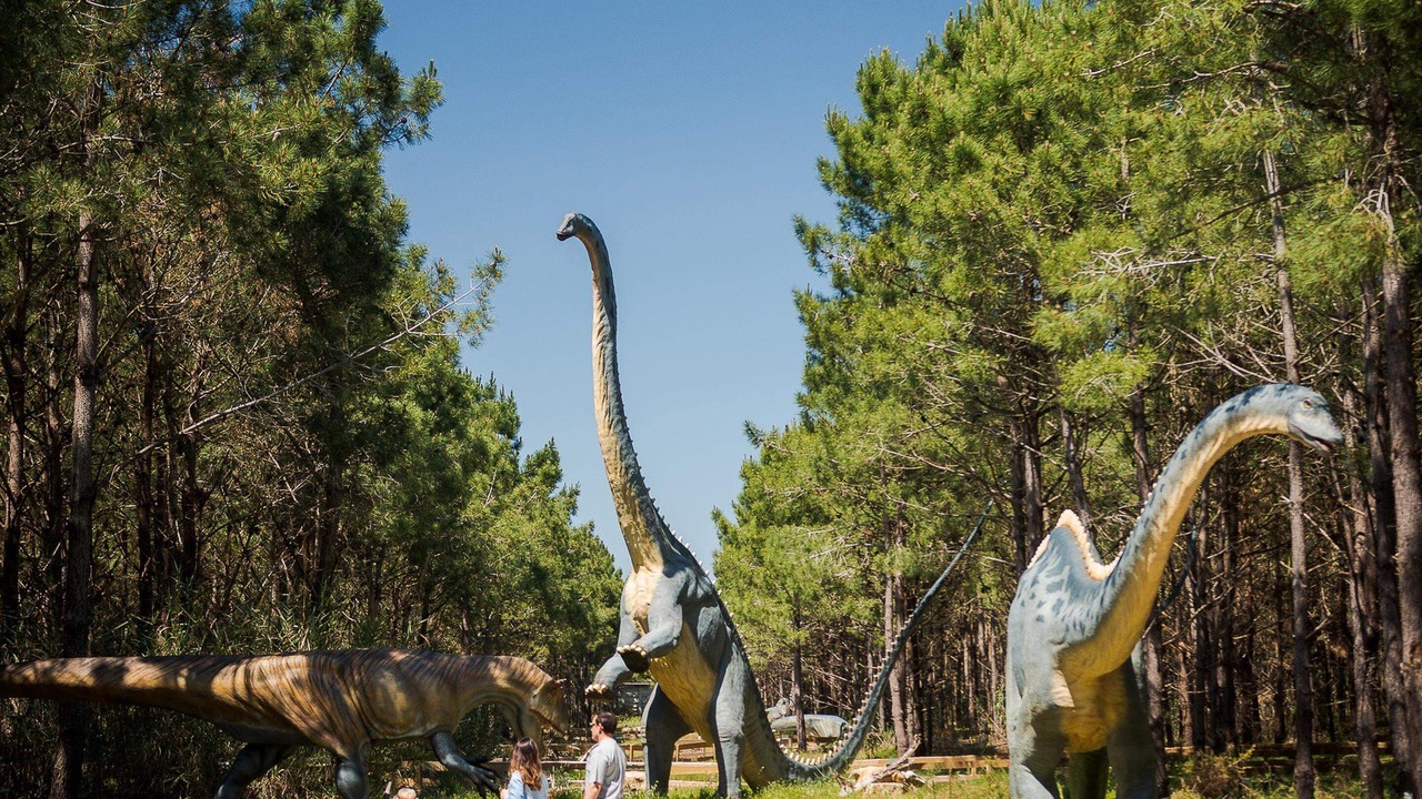 Photo of Others in Lourinha