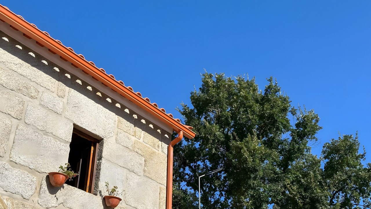 Photo of Outdoor in Oliveira do Hospital