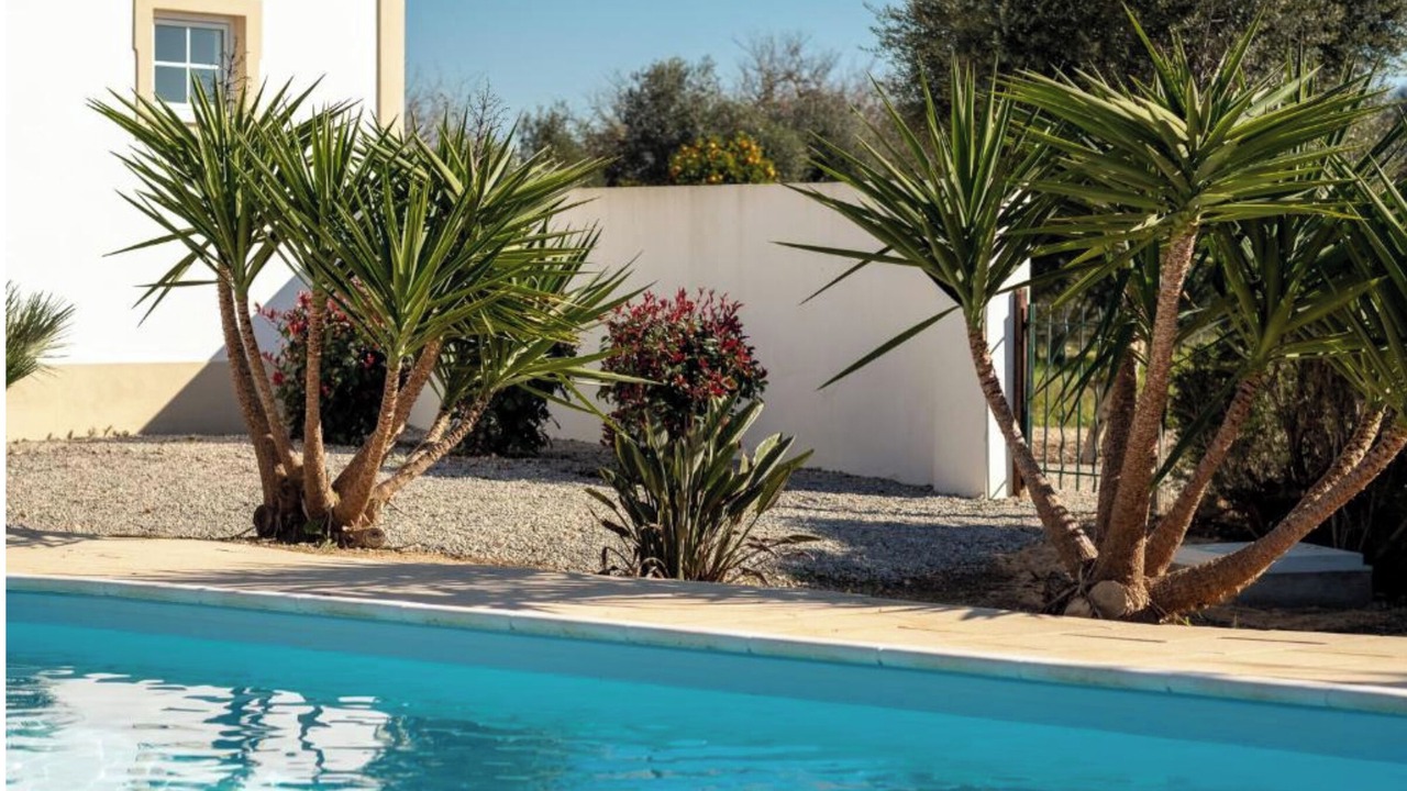 Photo of Outdoor in Lagoa e Carvoeiro