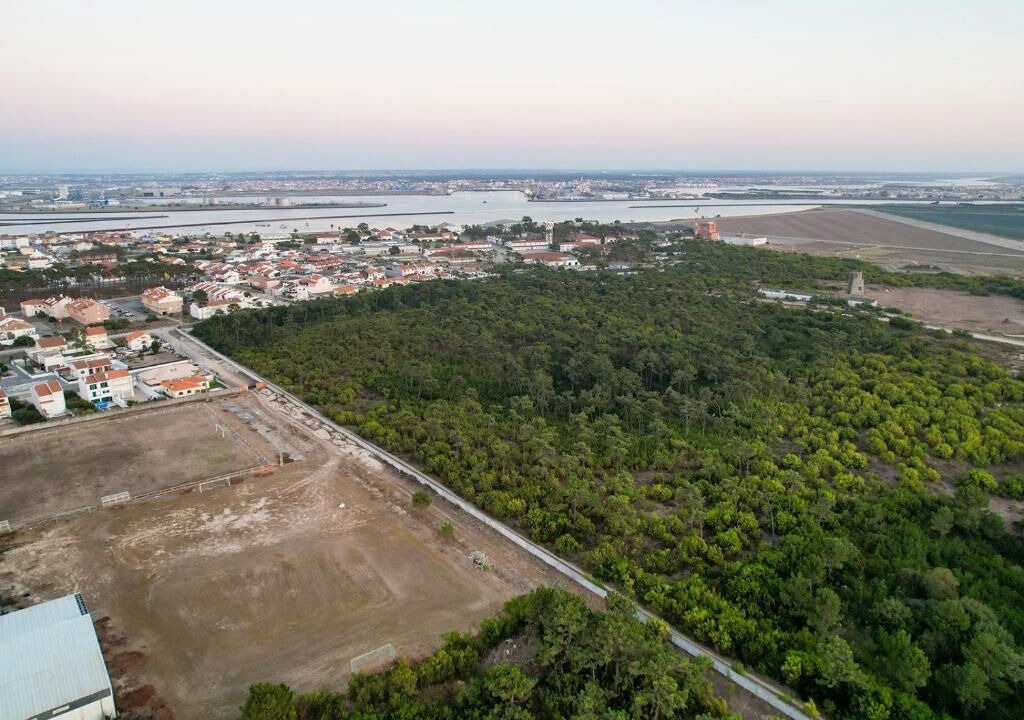 Photo of Outdoor in Sao Jacinto