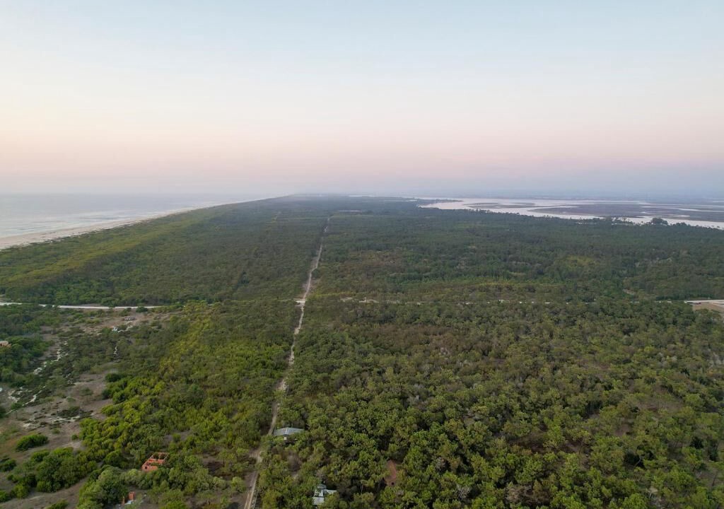Photo of Outdoor in Sao Jacinto