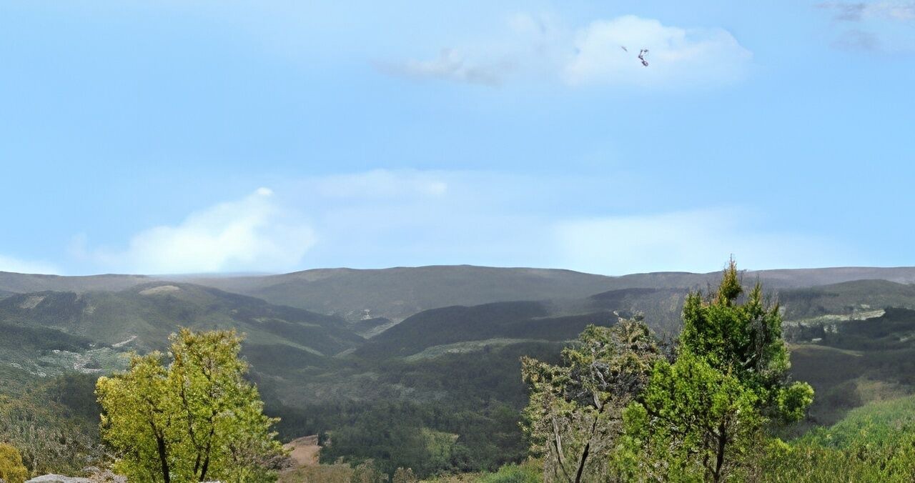 Photo of Others in Meada