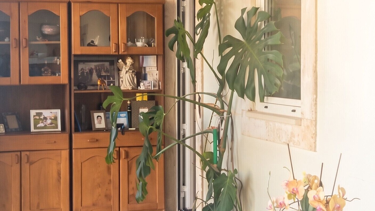 Photo of Patio Balcony in Porto de Mos