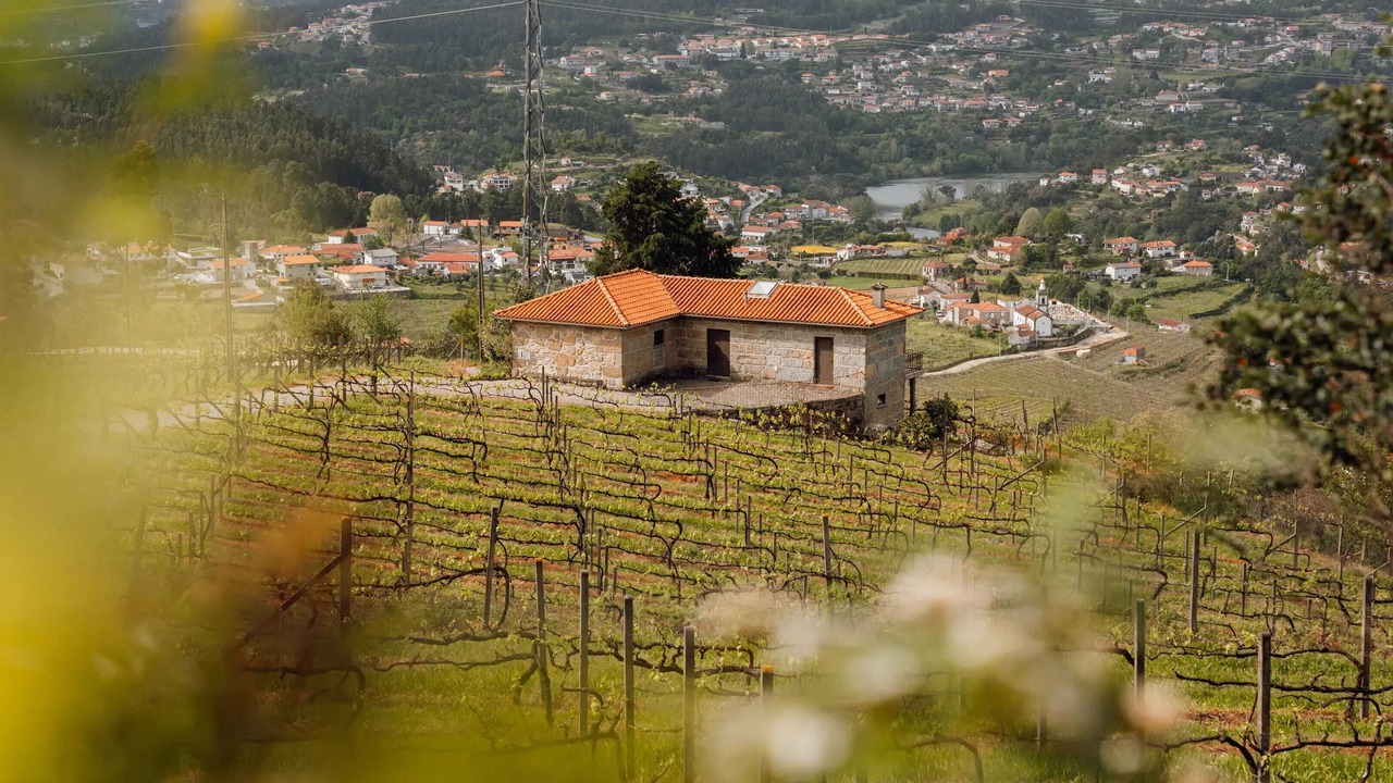 Photo of Outdoor in Castelo de Paiva
