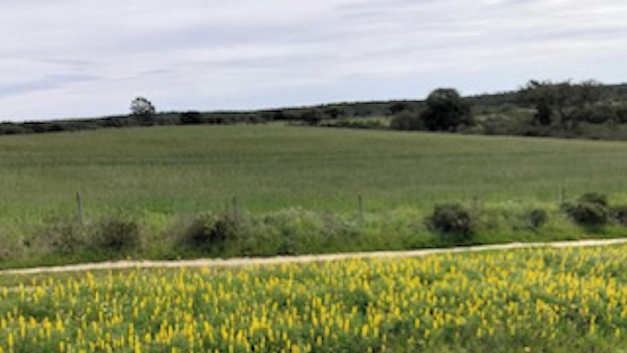Photo of Outdoor in Foros de Vale de Figueira