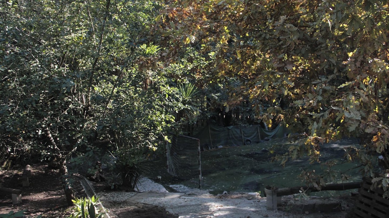 Photo of Outdoor in Beijos
