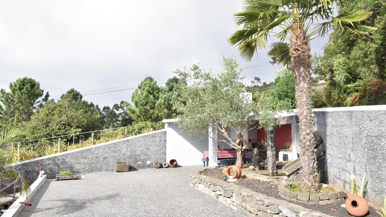 Photo of Others in Faja da Ovelha