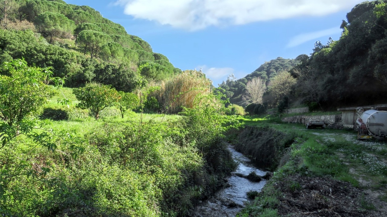 Photo of Others in Sao Joao Batista