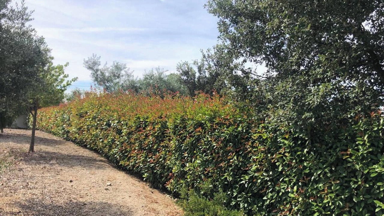 Photo of Outdoor in Pedrogao