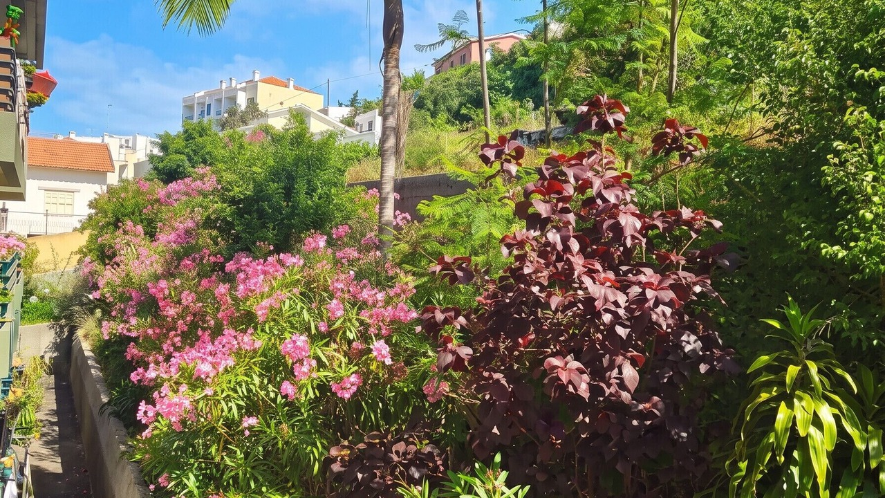 Photo of Outdoor in Sao Roque