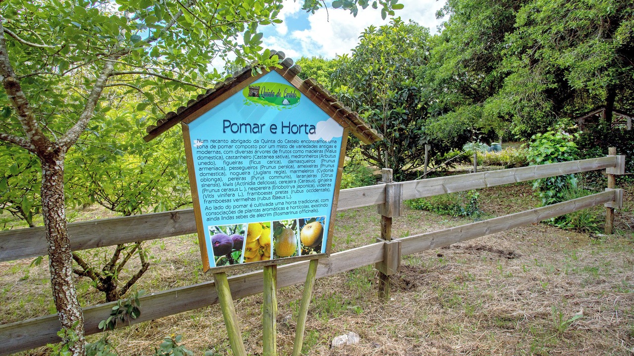 Photo of Others in Lourinha