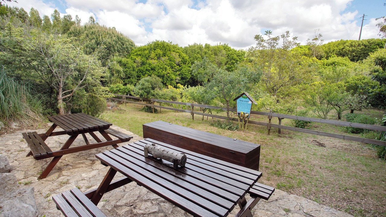 Photo of Outdoor in Lourinha
