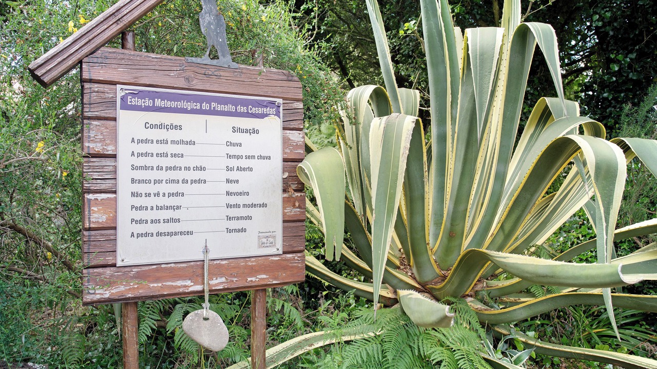 Photo of Outdoor in Lourinha