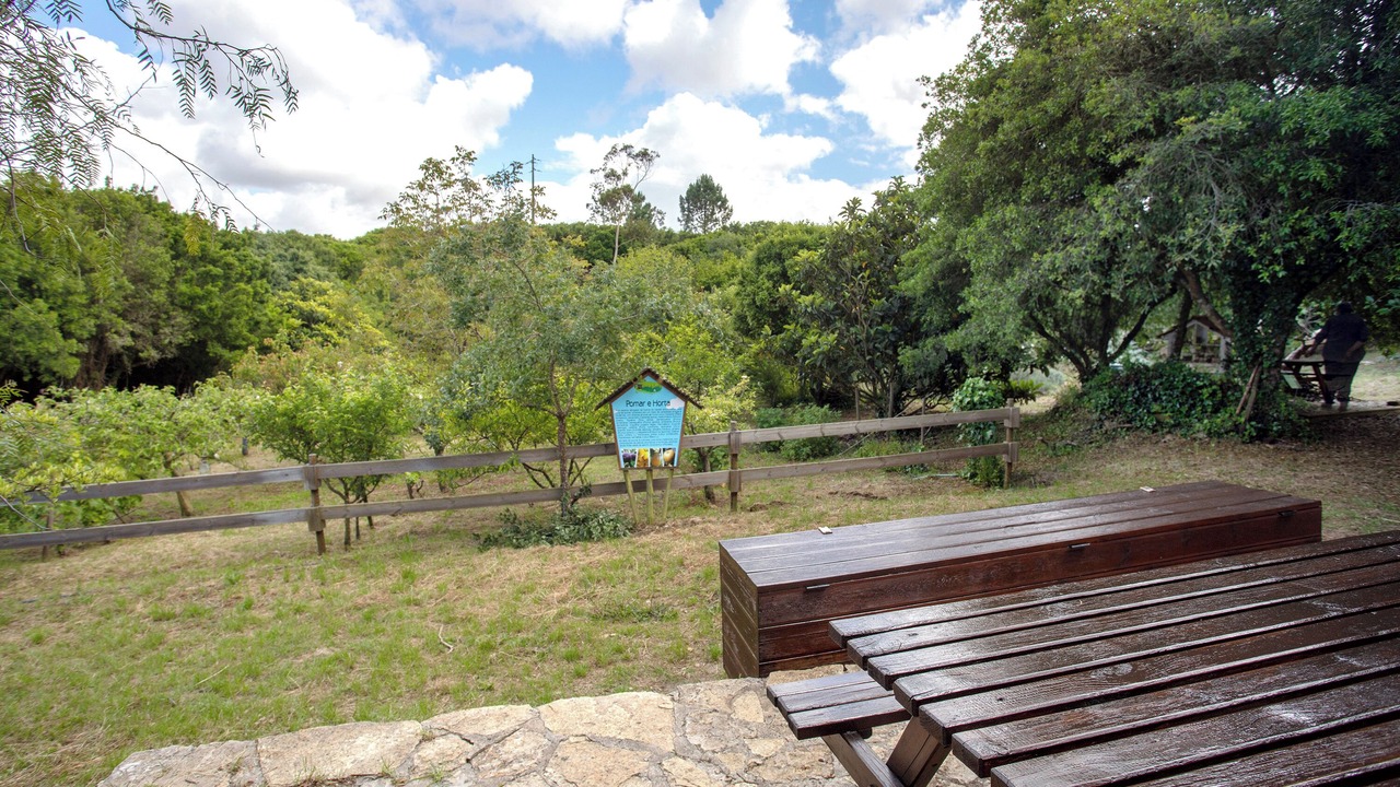 Photo of Outdoor in Lourinha