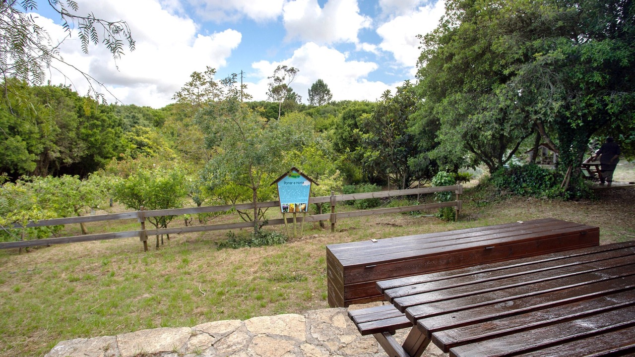 Photo of Outdoor in Lourinha