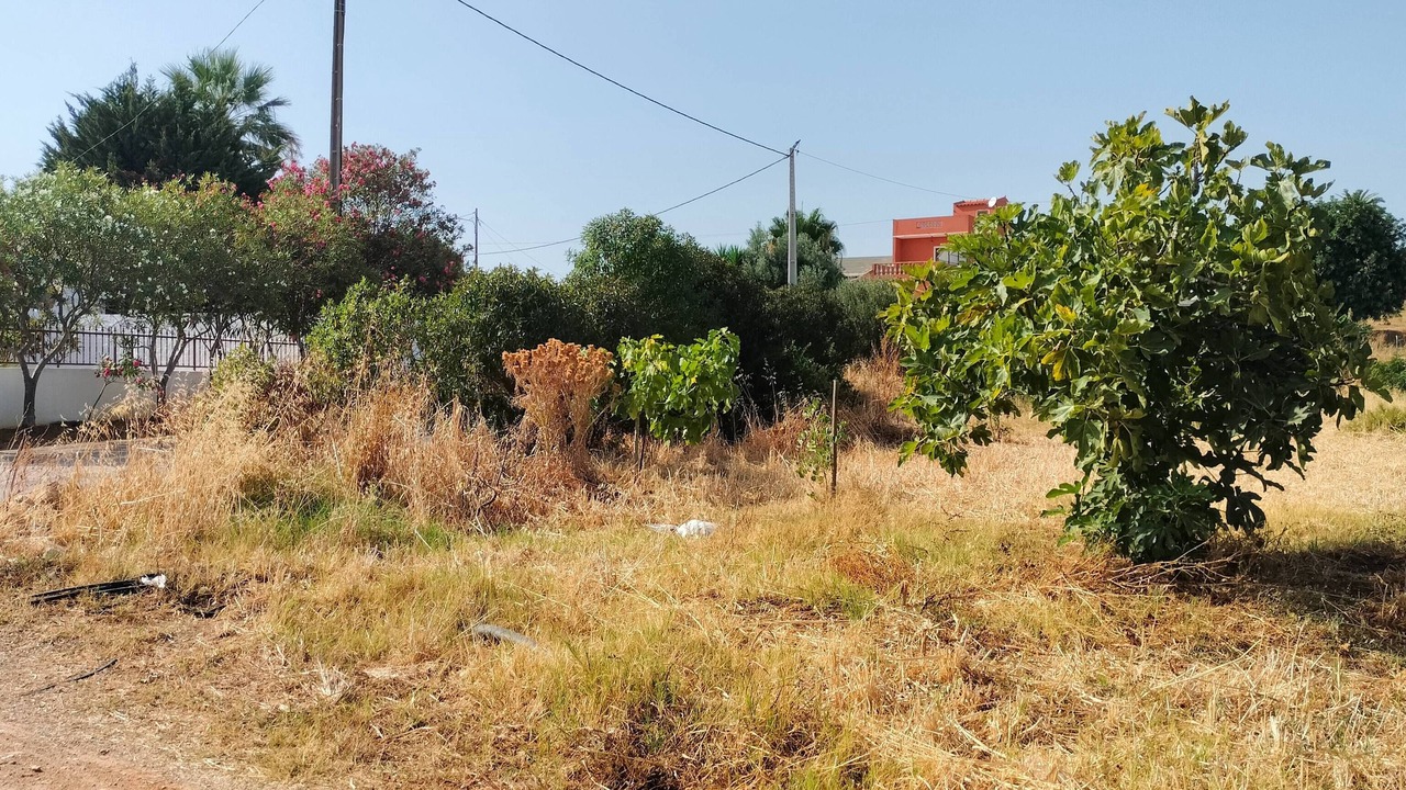 Photo of Outdoor in Olhao