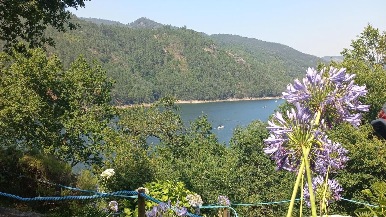 Photo of Others in Cova