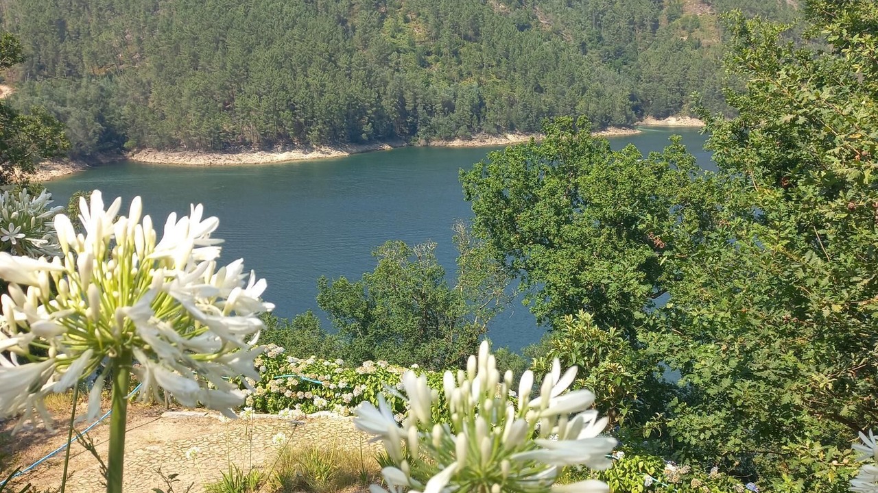 Photo of Outdoor in Cova