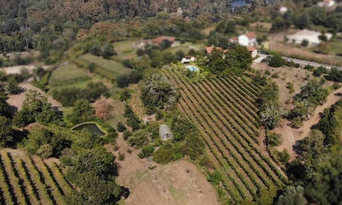 Photo of Outdoor in Ponte de Lima