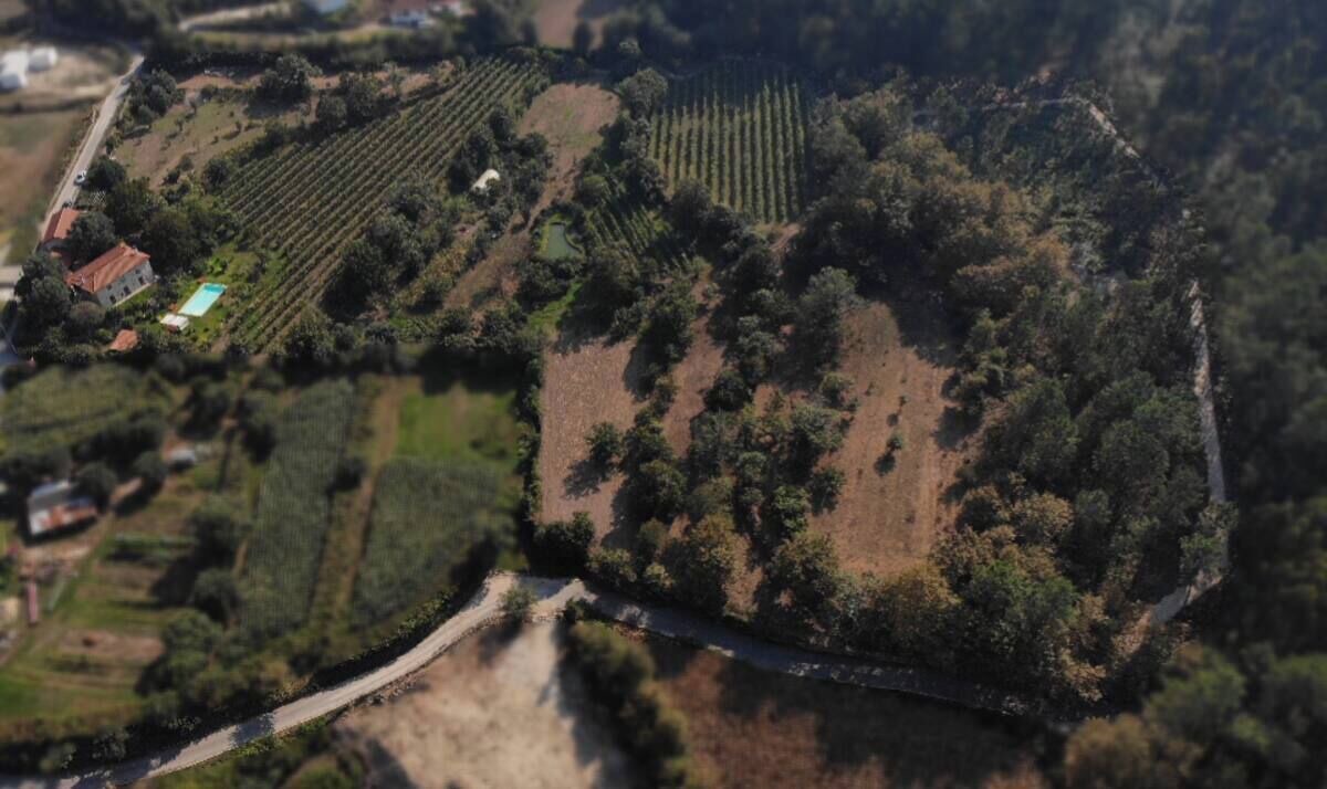 Photo of Outdoor in Ponte de Lima