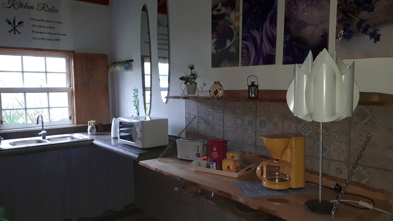 Photo of Kitchen in Biscoitos