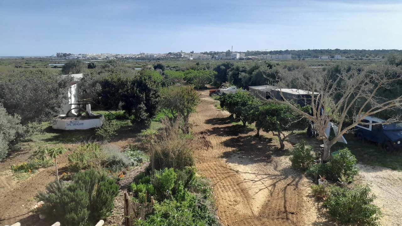 Photo of Others in Olhao